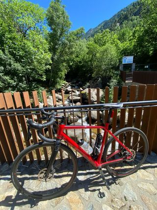 Scott Speedster 20 Disc - Bici Carretera