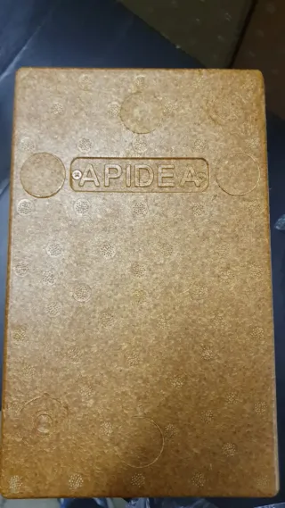 Núcleos de Fecundación APIDEA