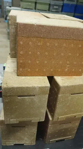 Núcleos de Fecundación APIDEA