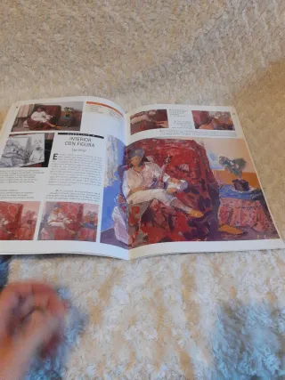 Varios libros de dibujo