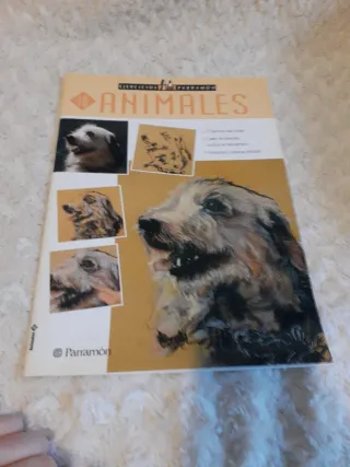 Varios libros de dibujo