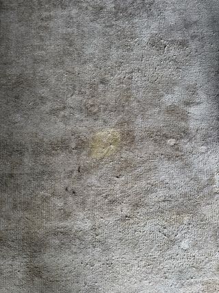 Tappeto pelo corto di due metri