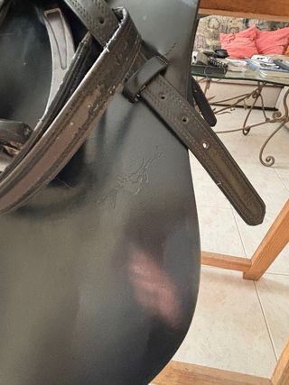 Sella da salto Equipe