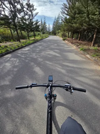 Bicicleta KTM Myroon Carbono 29