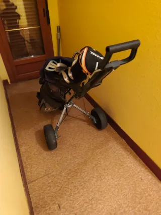 Carrito de golf Skymax