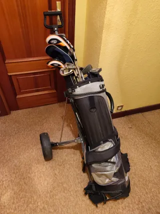 Carrito de golf Skymax