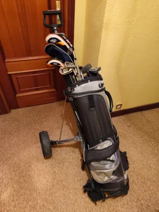 Carrito de golf Skymax
