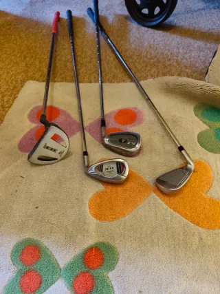 Carrito de golf Skymax