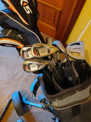 Carrito de golf Skymax