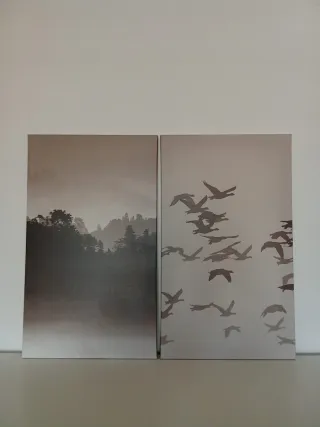 2 Cuadros Bosque y Pájaros