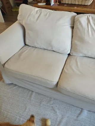 Sofá EKTORP 2 plazas IKEA beige