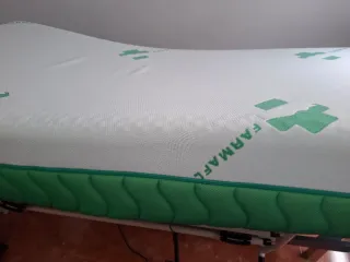 Cama Articulada Eléctrica + 2 Colchones