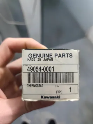 Termostato Kawasaki 49054-0001