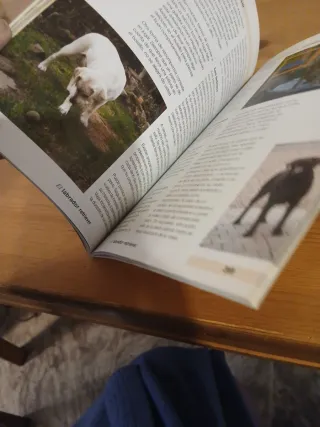 Libro labrador Retriever