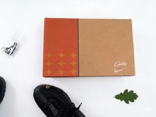 Nike Air Max 95 Corteiz Talla 43