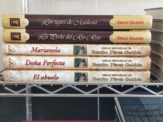 Lote de 38 libros y regalo estanteria