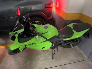 Kawasaki Ninja 250 Sportbike Verde