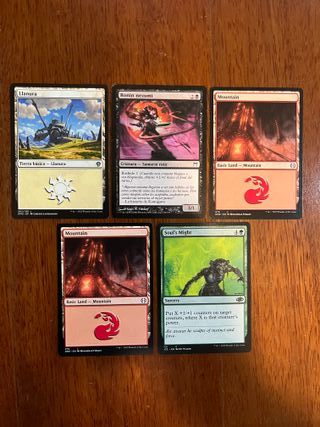 5 Carte Magic The Gathering