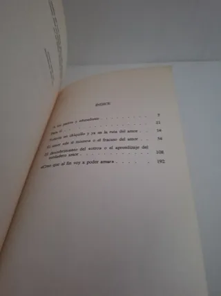 Libro Amor: El diario de Daniel