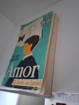Libro Amor: El diario de Daniel