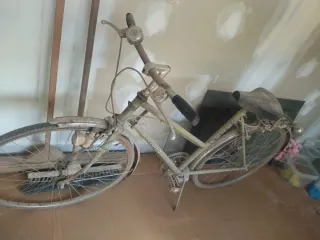 Bicicleta Paseo clásica