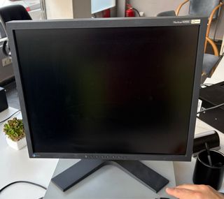 Monitor Eizo FlexScan S1931 19 pulgadas
