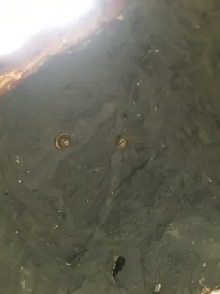 Virgen de Estuco y Yeso