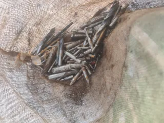 Lote de Fresas de Cobalto