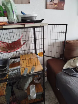 Jaula hurón/chinchilla/roedores grandes
