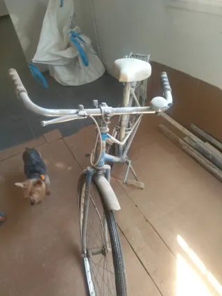 Bicicleta Paseo clásica.