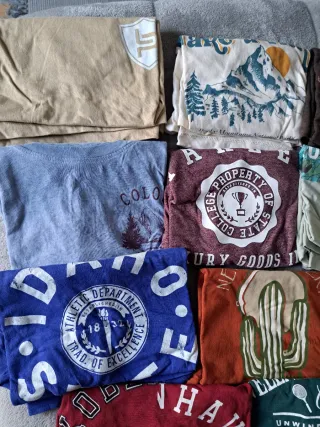 Lote 11 Camisetas Varios colores