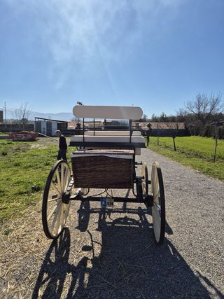 Carruaje de caballo para bodas o eventos