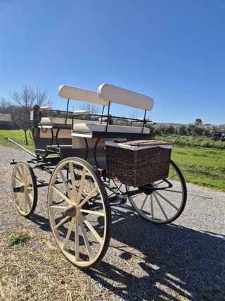 Carruaje de caballo para bodas o eventos