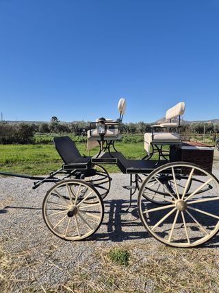 Carruaje de caballo para bodas o eventos