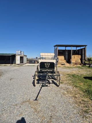 Carruaje de caballo para bodas o eventos