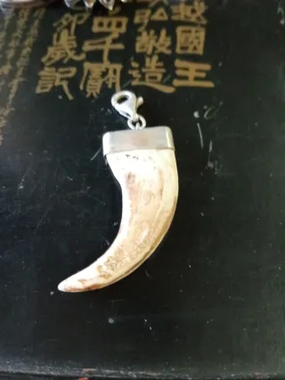 Colgante y broche de plata