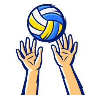 Entrenador personal de voleybol para todas las ed