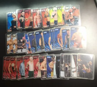 Lamincards WWE 2007