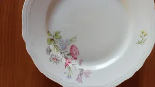 6 Piatti Richard Ginori Floreale 20cm