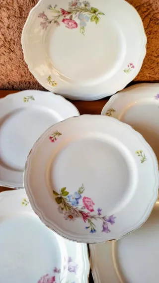 6 Piatti Richard Ginori Floreale 20cm