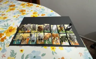 Colección completa Natoons Animals Huevo Kinder