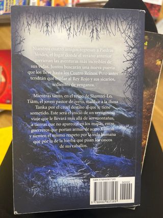 Primer verano en Piedras Verdes: novela juvenil...