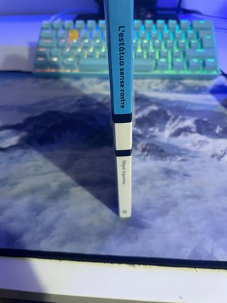 L'estàtua sense rostre