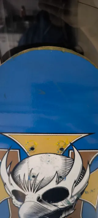 Tabla Tony Hawk Birdhouse