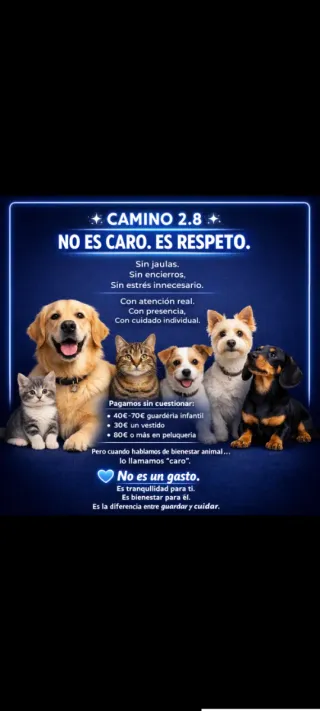 Paseador de perretes, cuidador gatitos