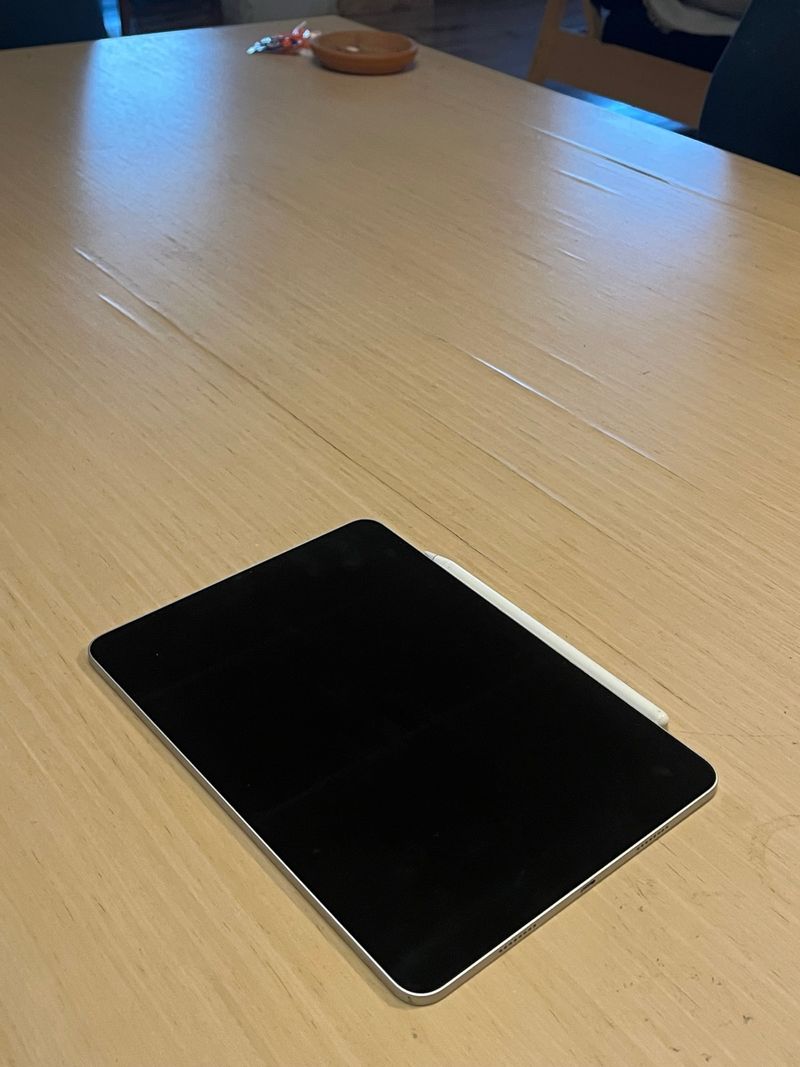 iPad Pro 11 256GB Plata