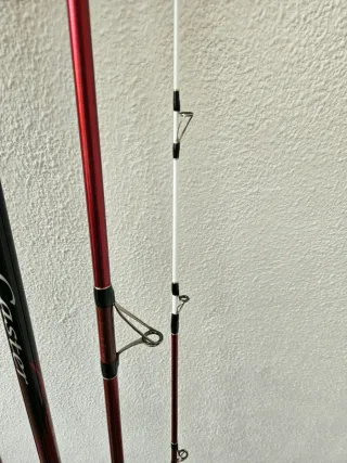 Cañas Daiwa Tournament Evo 35 HBF