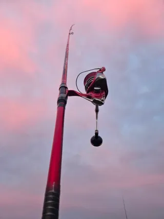 Cañas Daiwa Tournament Evo 35 HBF