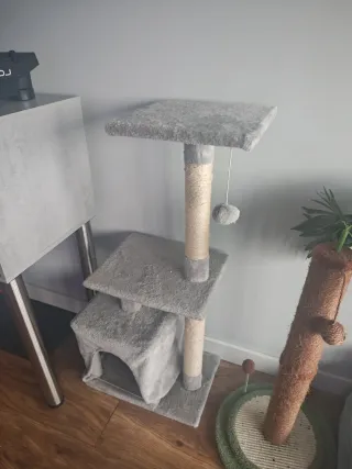Castillo gato