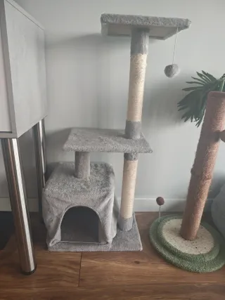 Castillo gato
